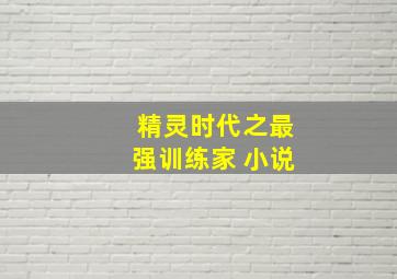 精灵时代之最强训练家 小说